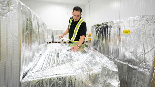 A man checking the temperature of cargo wrapped in tin foil.